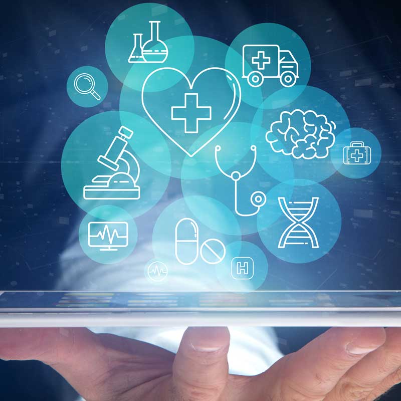 b Ilustración de los principales algoritmos de Google —Panda, Penguin, Pigeon, Possum, Hummingbird, Fred y E-Mo— representados con iconos de animales y el logotipo de Google, simbolizando su impacto en el posicionamiento web.